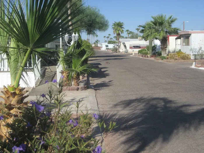 Desert Sky Picture 9