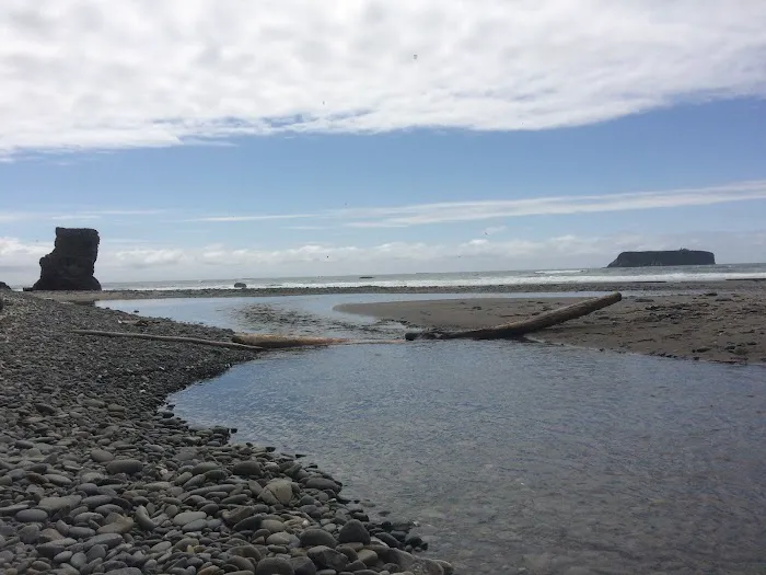 Mosquito Creek Picture 5