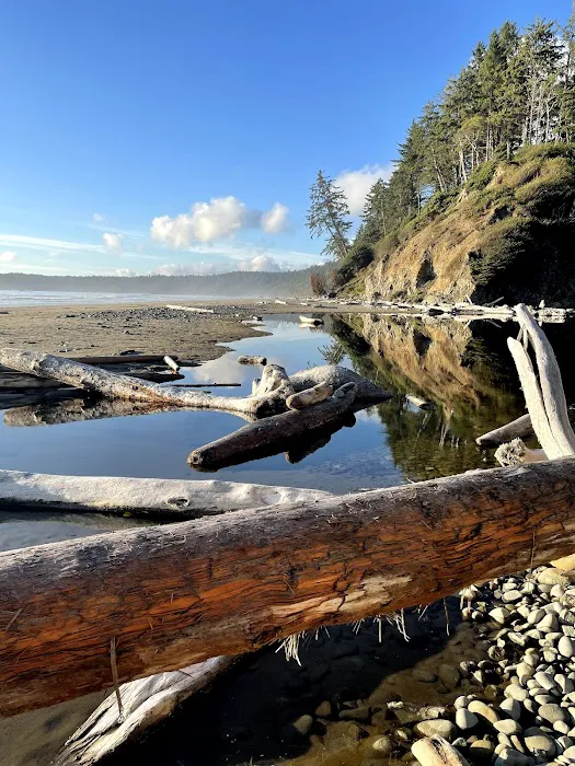 Mosquito Creek Picture 10