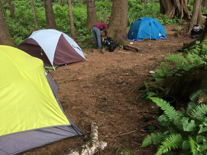 Mosquito Creek Picture 4