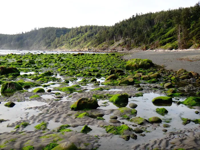 Seafield Creek Picture 7