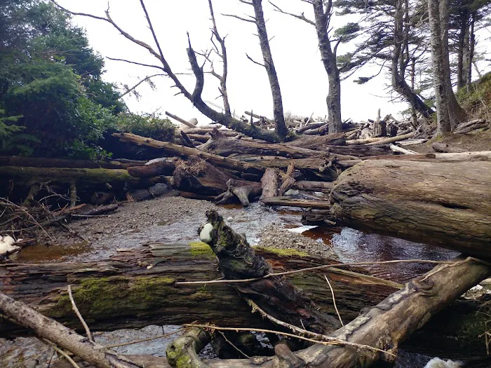 Seafield Creek Picture 10