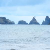 Seafield Creek ico