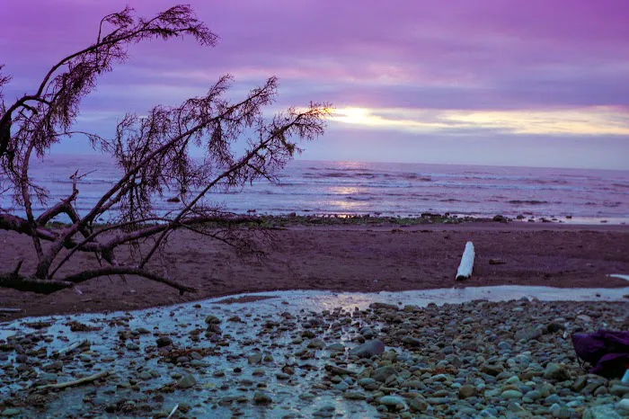 Seafield Creek Picture 8
