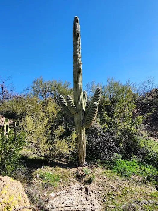 Chaparral Ranch Picture 6