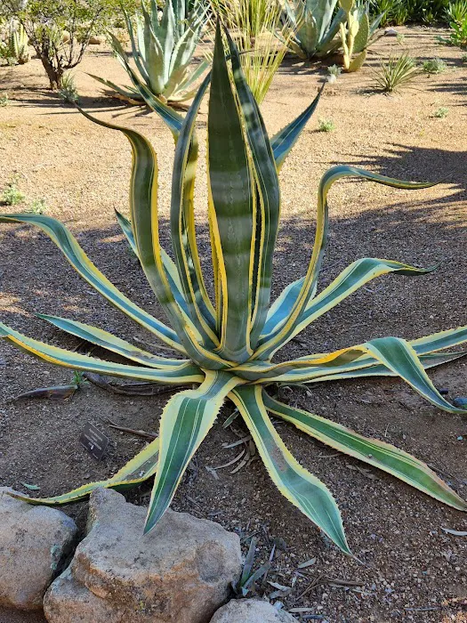 Chaparral Ranch Picture 9