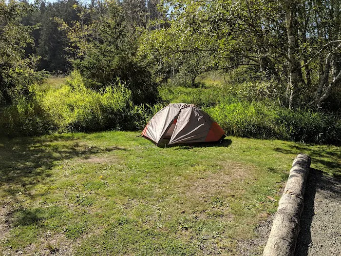 Ozette Campground Picture 1