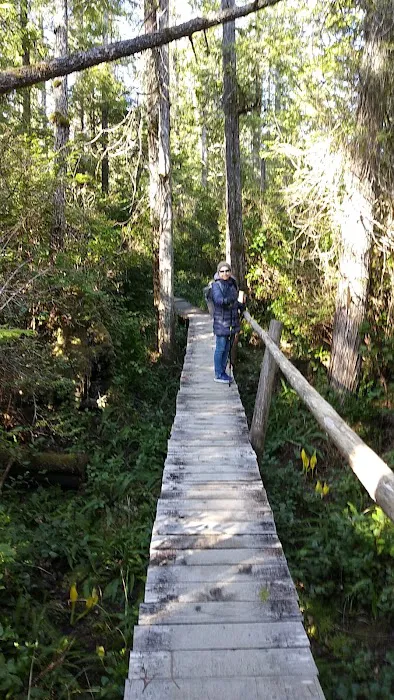 Ozette Campground Picture 3