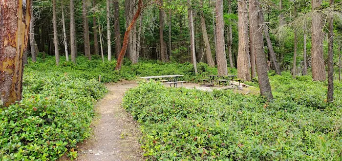 Raccoon Island Campground Picture 10