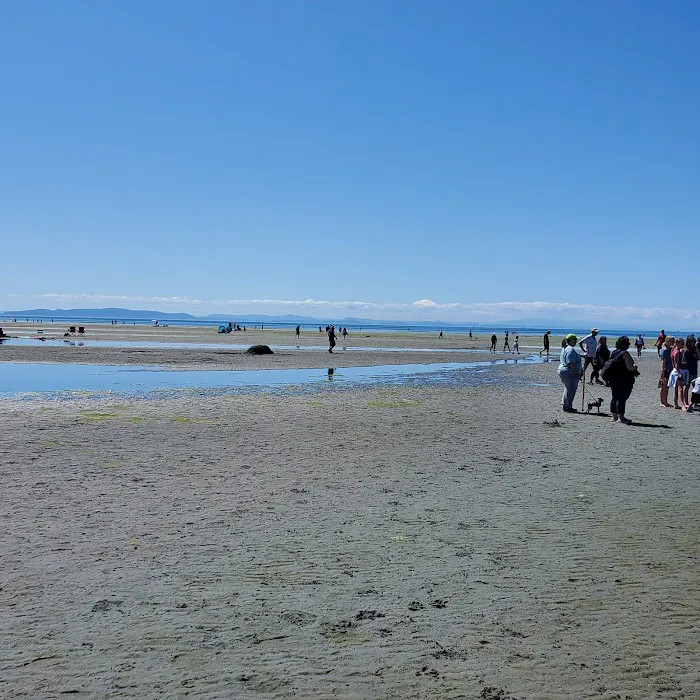 Beachside RV Park Picture 4