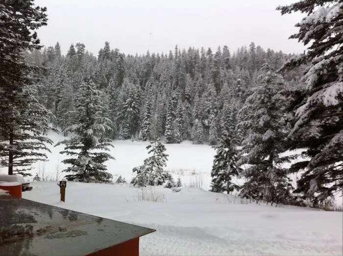 Blackpine Lake Campground Picture 10