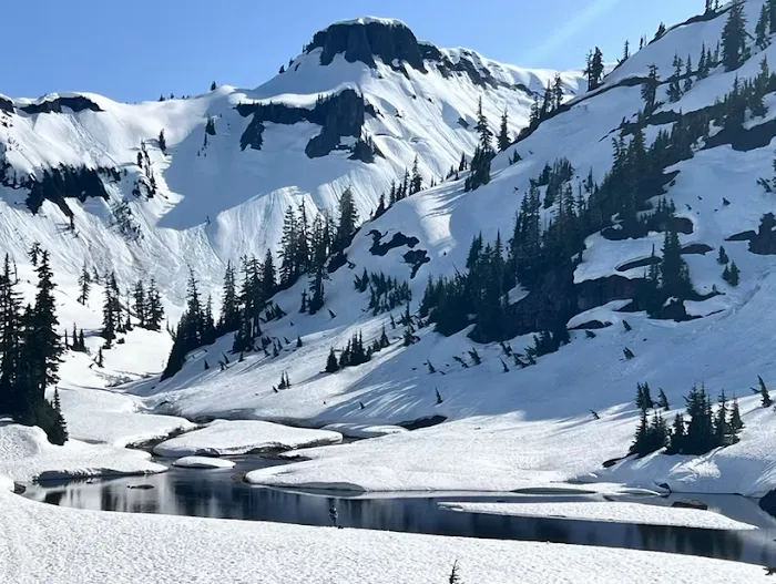 Mt Baker RV Park & Campground Picture 10