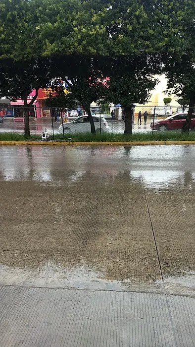 Lamplighter Salinas Picture 6