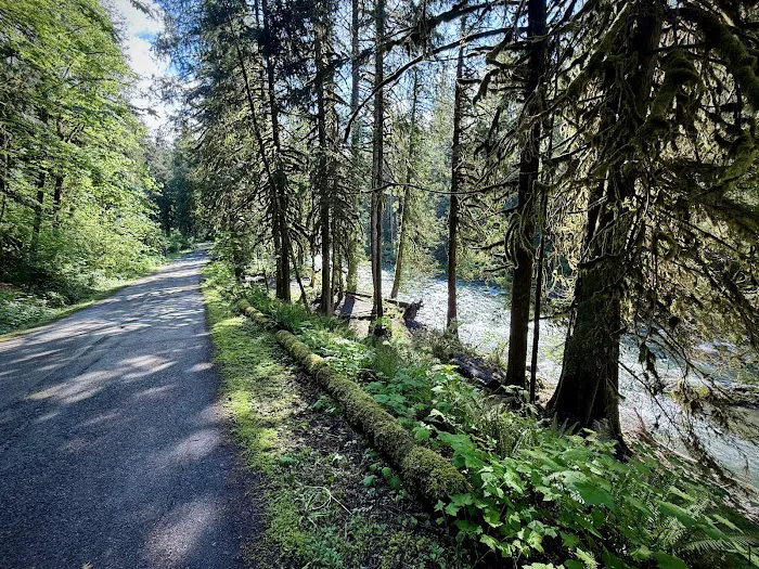 Douglas Fir Campground Picture 2