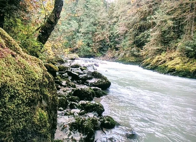 Douglas Fir Campground Picture 1