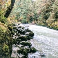 Douglas Fir Campground ico
