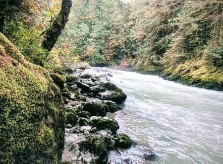Douglas Fir Campground