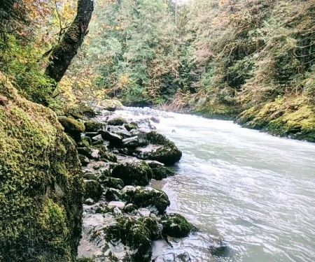 Douglas Fir Campground