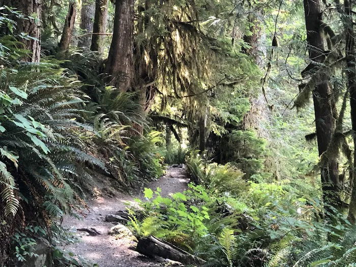 Douglas Fir Campground Picture 3
