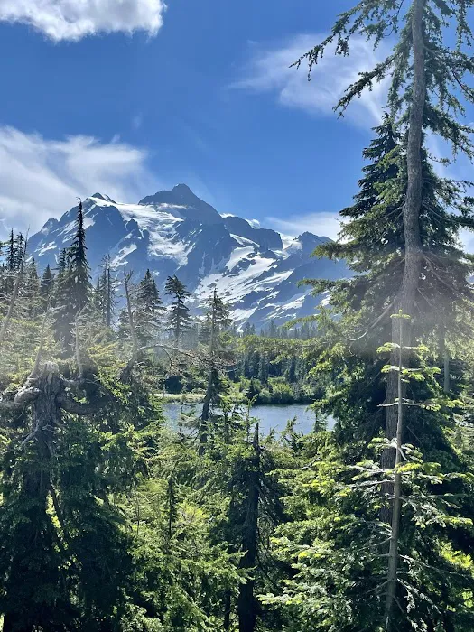 Douglas Fir Campground Picture 5