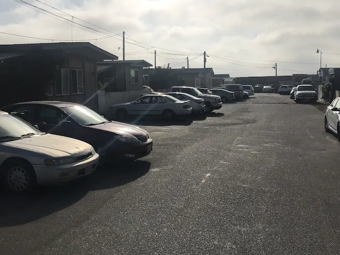 101 Trailer Park Picture 8