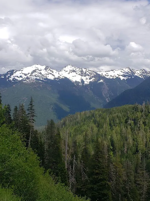 Silver Fir Campground Picture 3