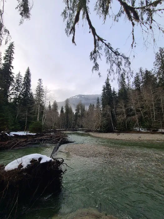 Silver Fir Campground Picture 6