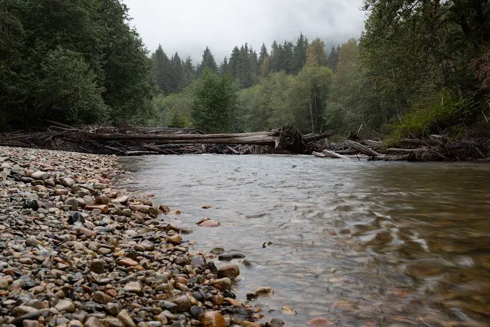 Silver Fir Campground Picture 10