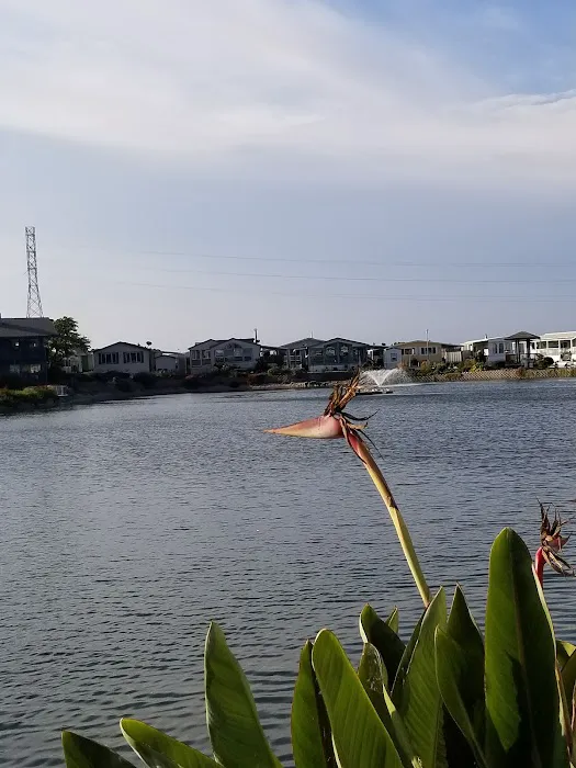 Sherwood Lake Mobile Home Park Picture 5