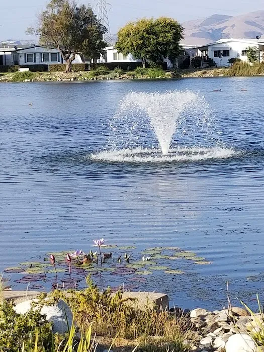 Sherwood Lake Mobile Home Park Picture 8
