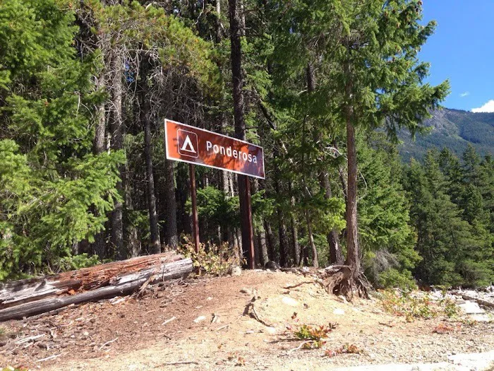 Ponderosa Campground Picture 1