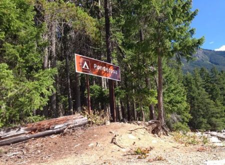 Ponderosa Campground