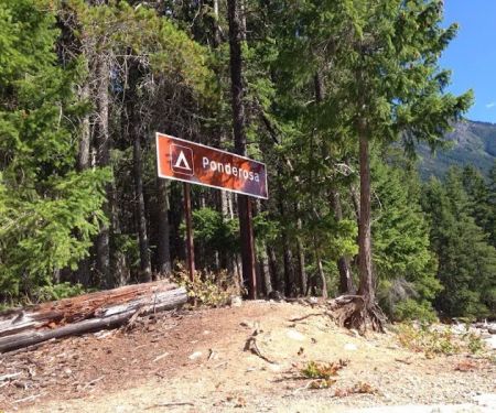 Ponderosa Campground