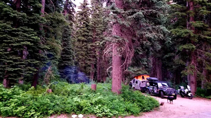 Lone Fir Campground Picture 1