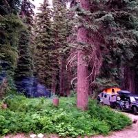 Lone Fir Campground ico