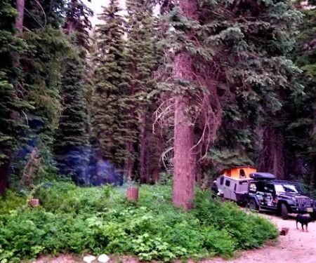 Lone Fir Campground