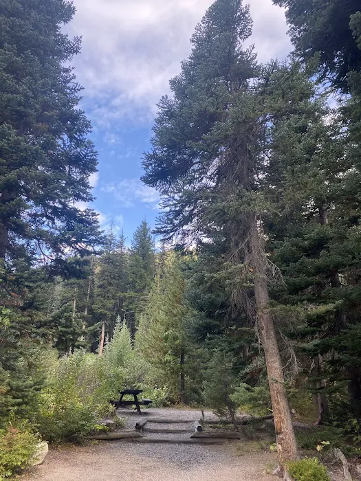Lone Fir Campground Picture 5