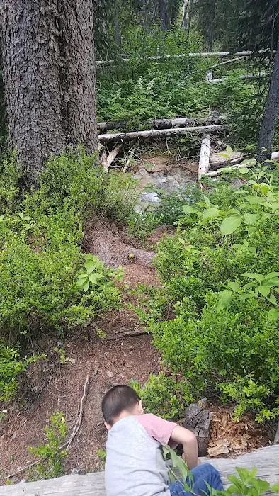 Lone Fir Campground Picture 7