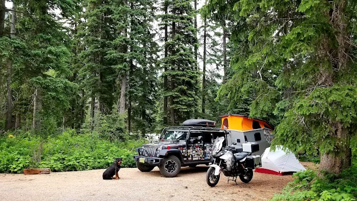 Lone Fir Campground Picture 2