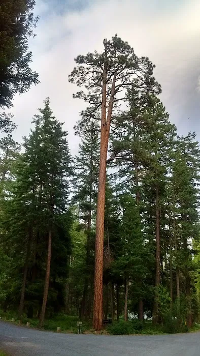 Klipchuck Campground Picture 6