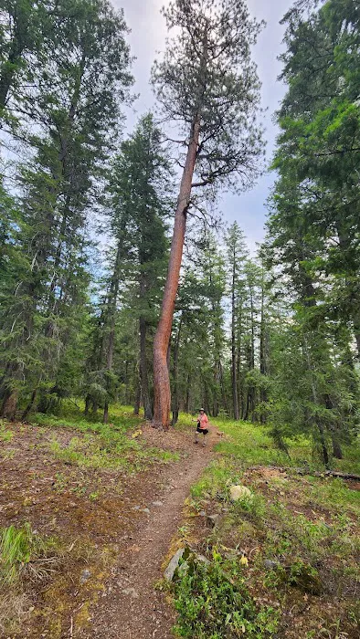 Klipchuck Campground Picture 4