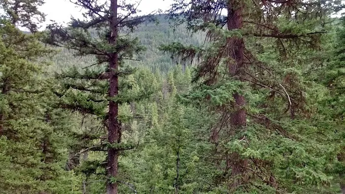 Klipchuck Campground Picture 1