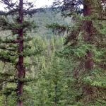 Klipchuck Campground