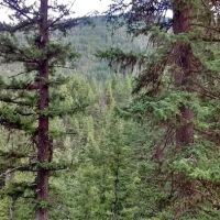 Klipchuck Campground ico