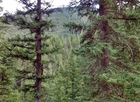 Klipchuck Campground