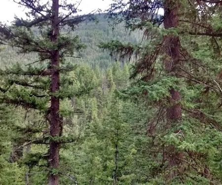 Klipchuck Campground