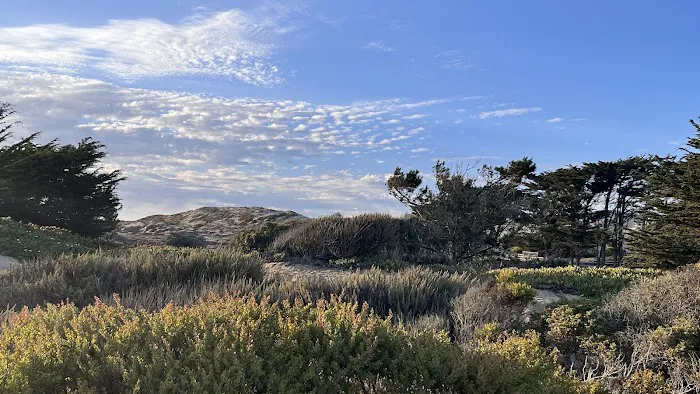 Marina Dunes RV Park Picture 7