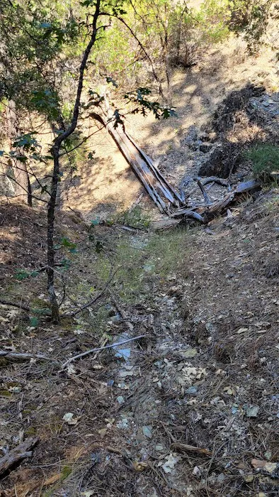 Camp Becausewecan Picture 2