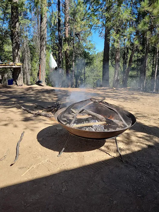 Camp Becausewecan Picture 1