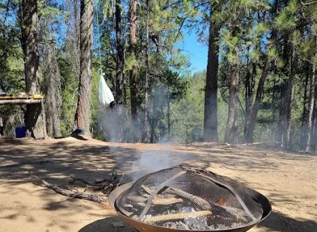 Camp Becausewecan